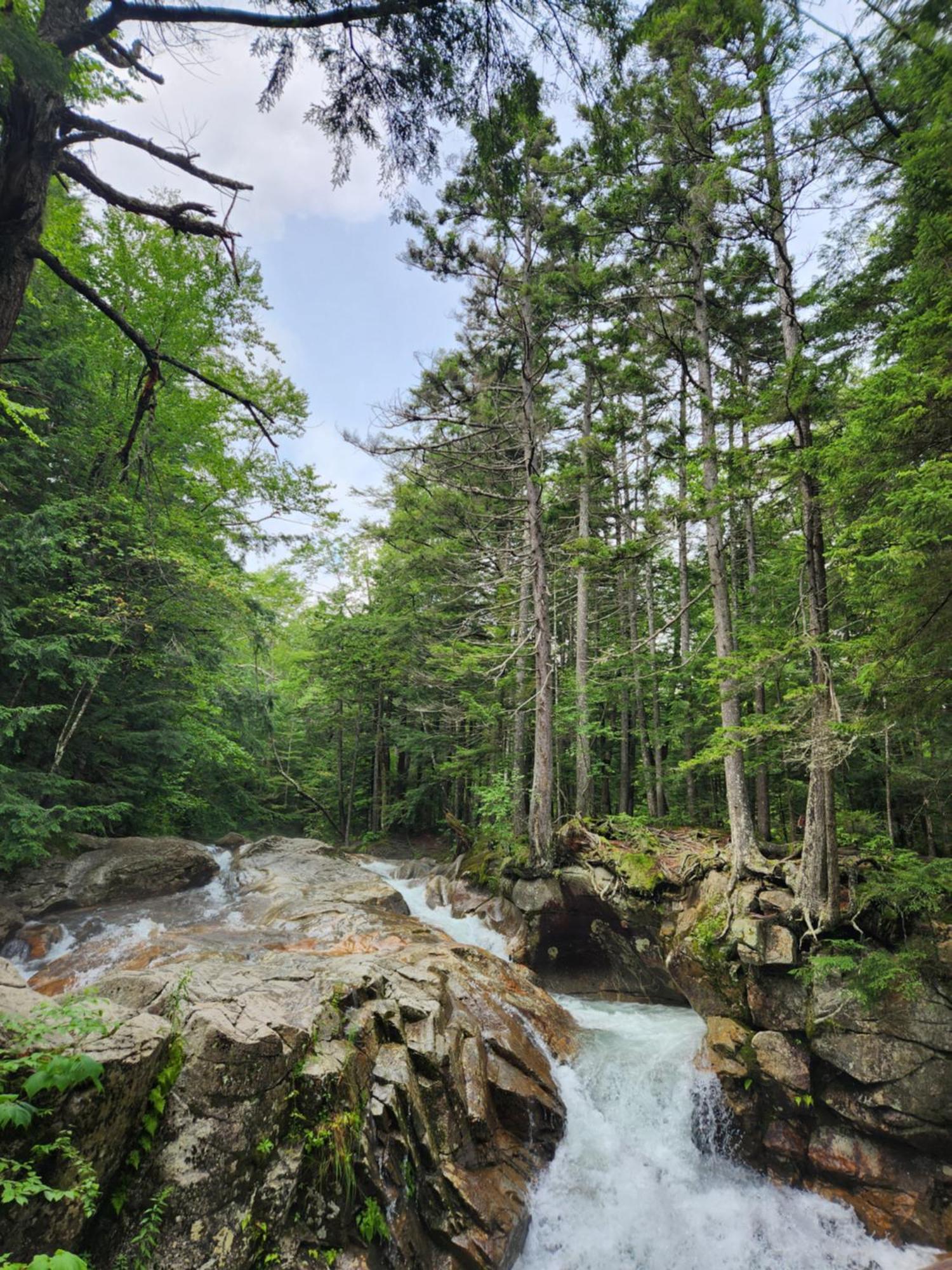 Backyard Bliss In The White Mountains Villa Lincoln Exterior photo